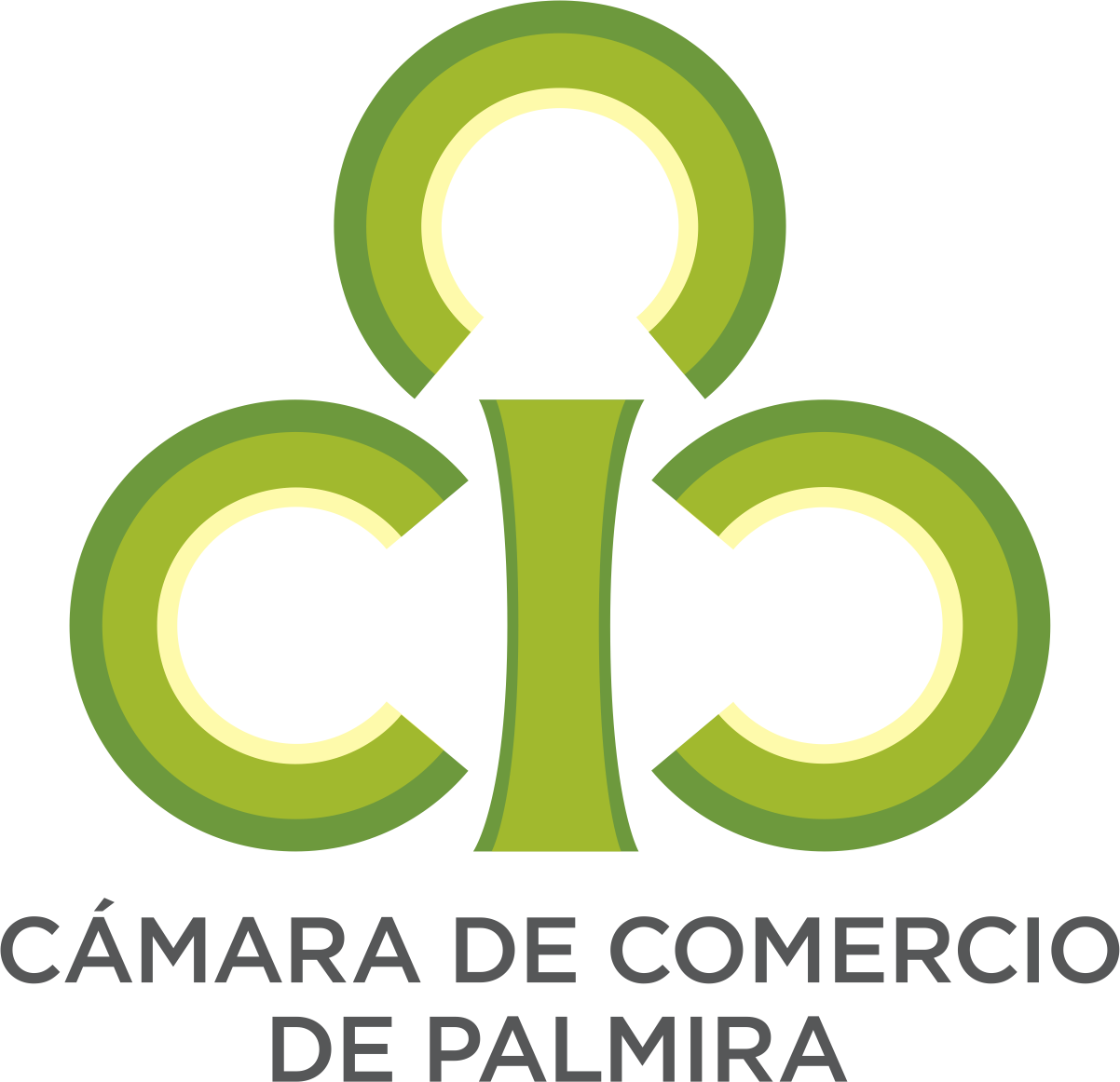 Consultas c mara de comercio de palmira