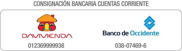 Imagen Consignación Bancaria